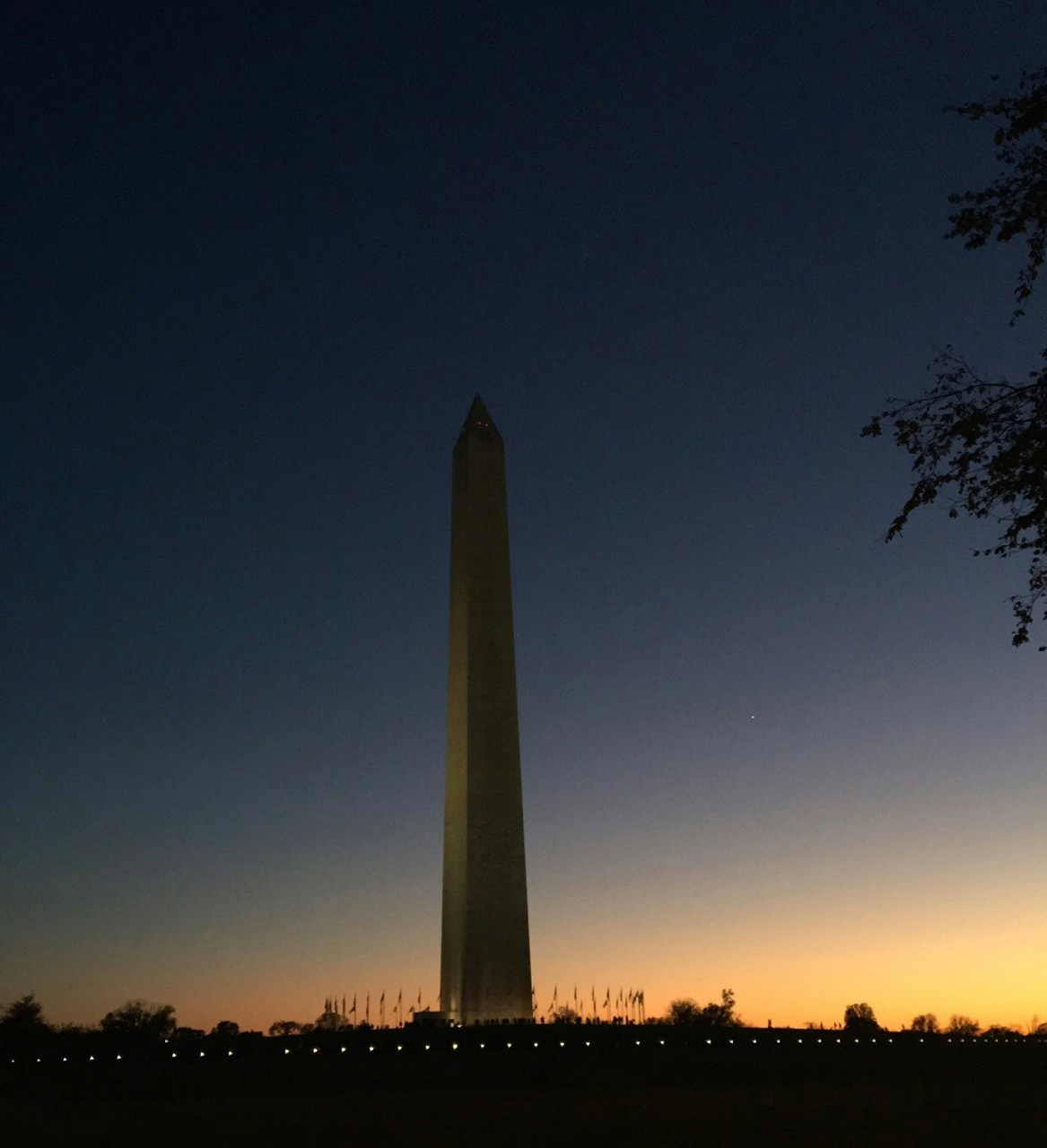 Go to Diego's profile