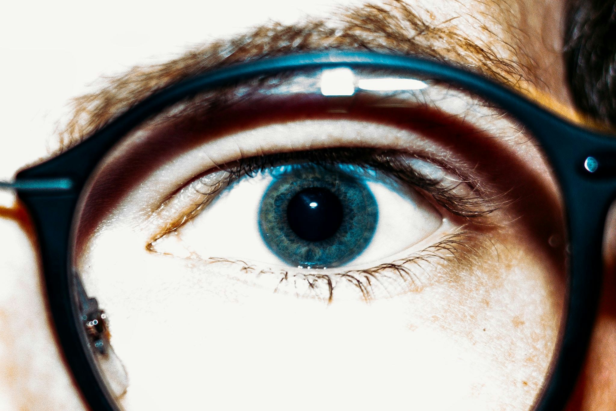 Go to Nico Miot's profile