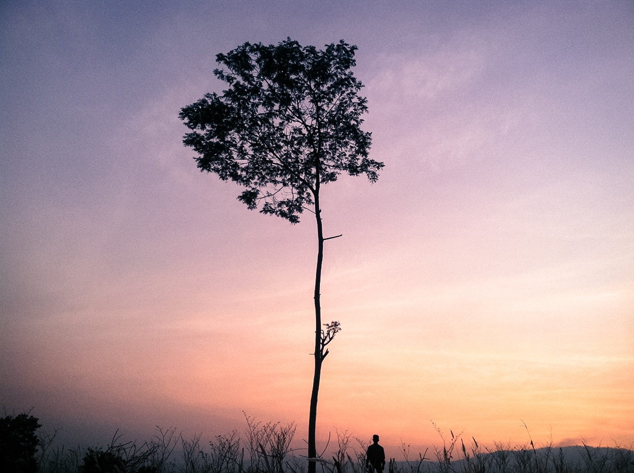 Go to Azka Nurakli's profile