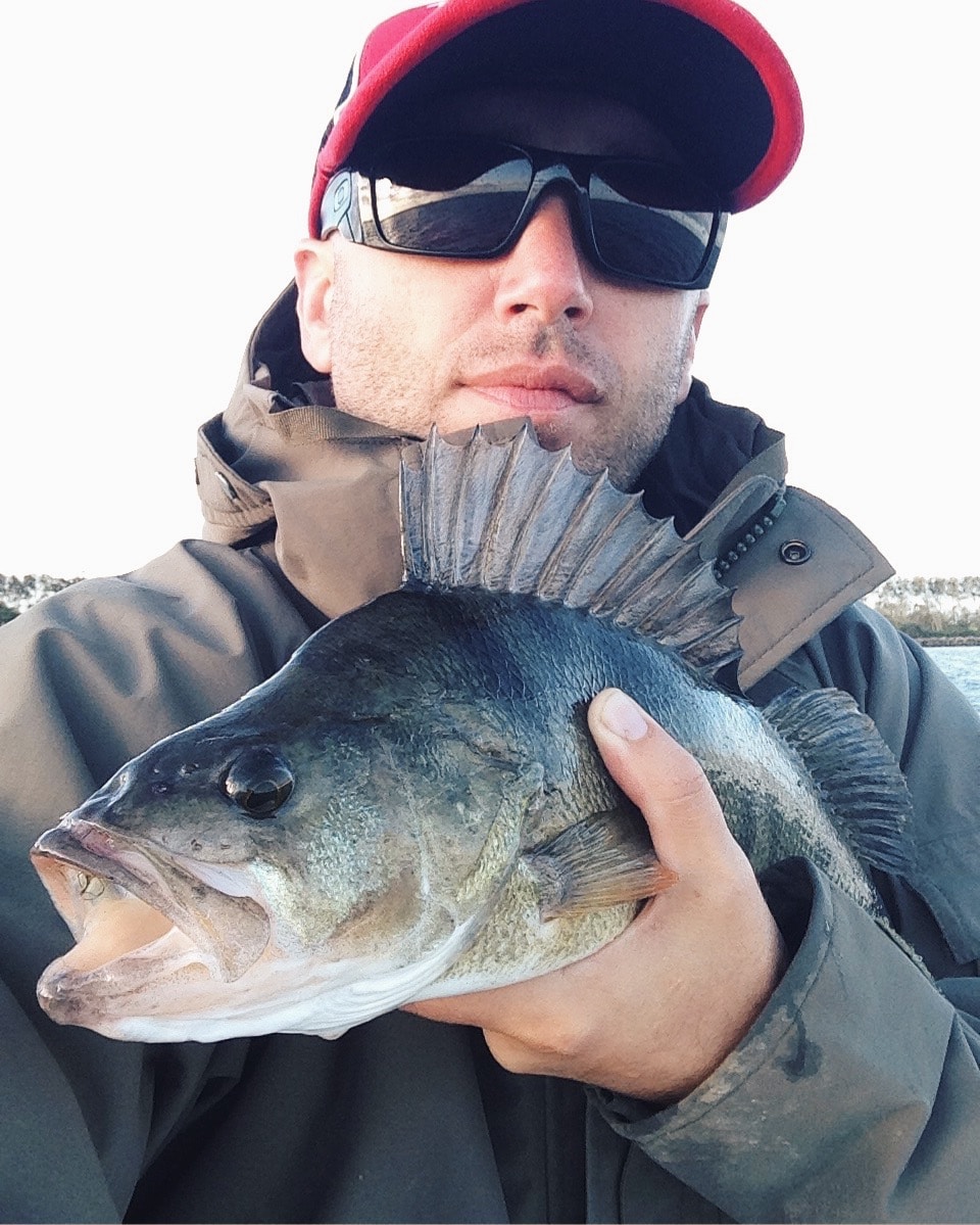 Zum Profil von www.raubfisch24.de