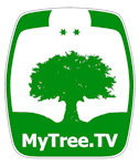 Avatar of user MyTreeTV Sustainability