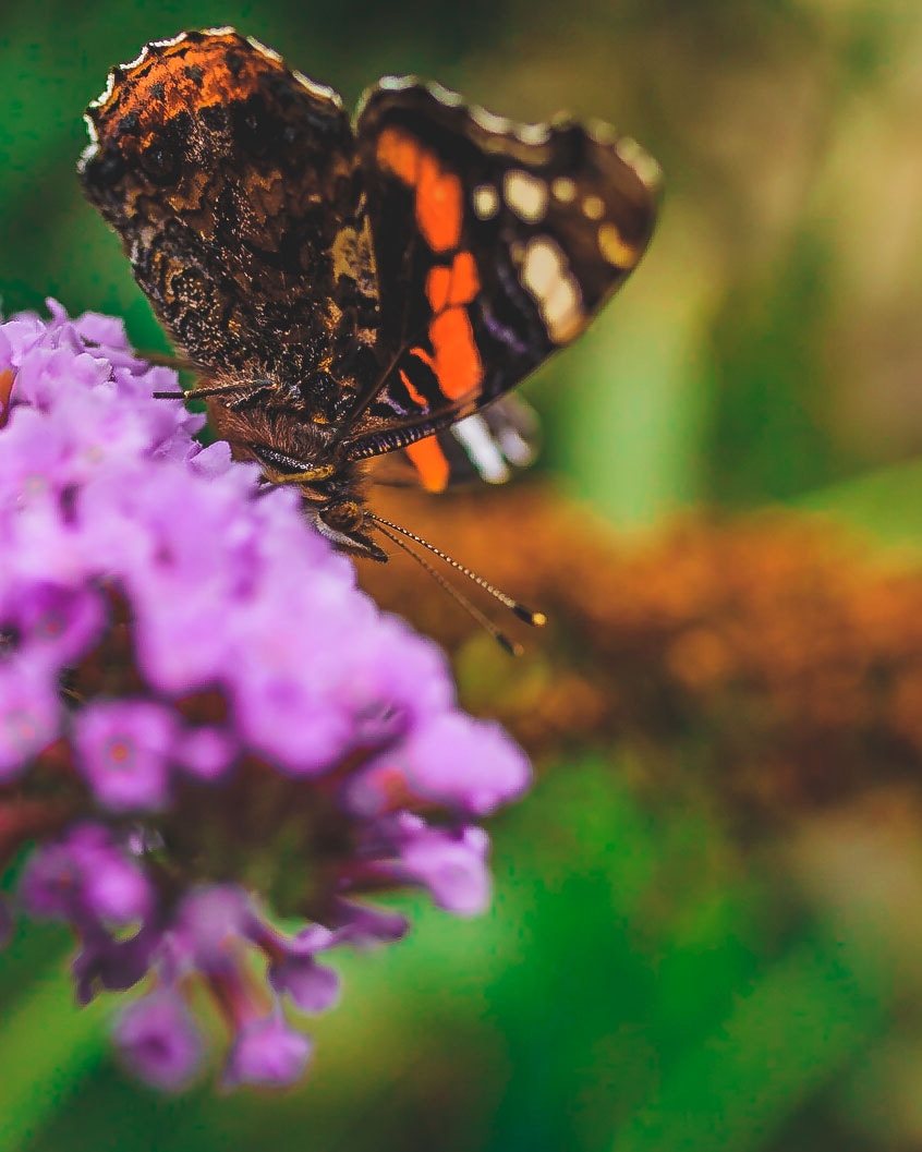 Go to Bobby Johnson's profile