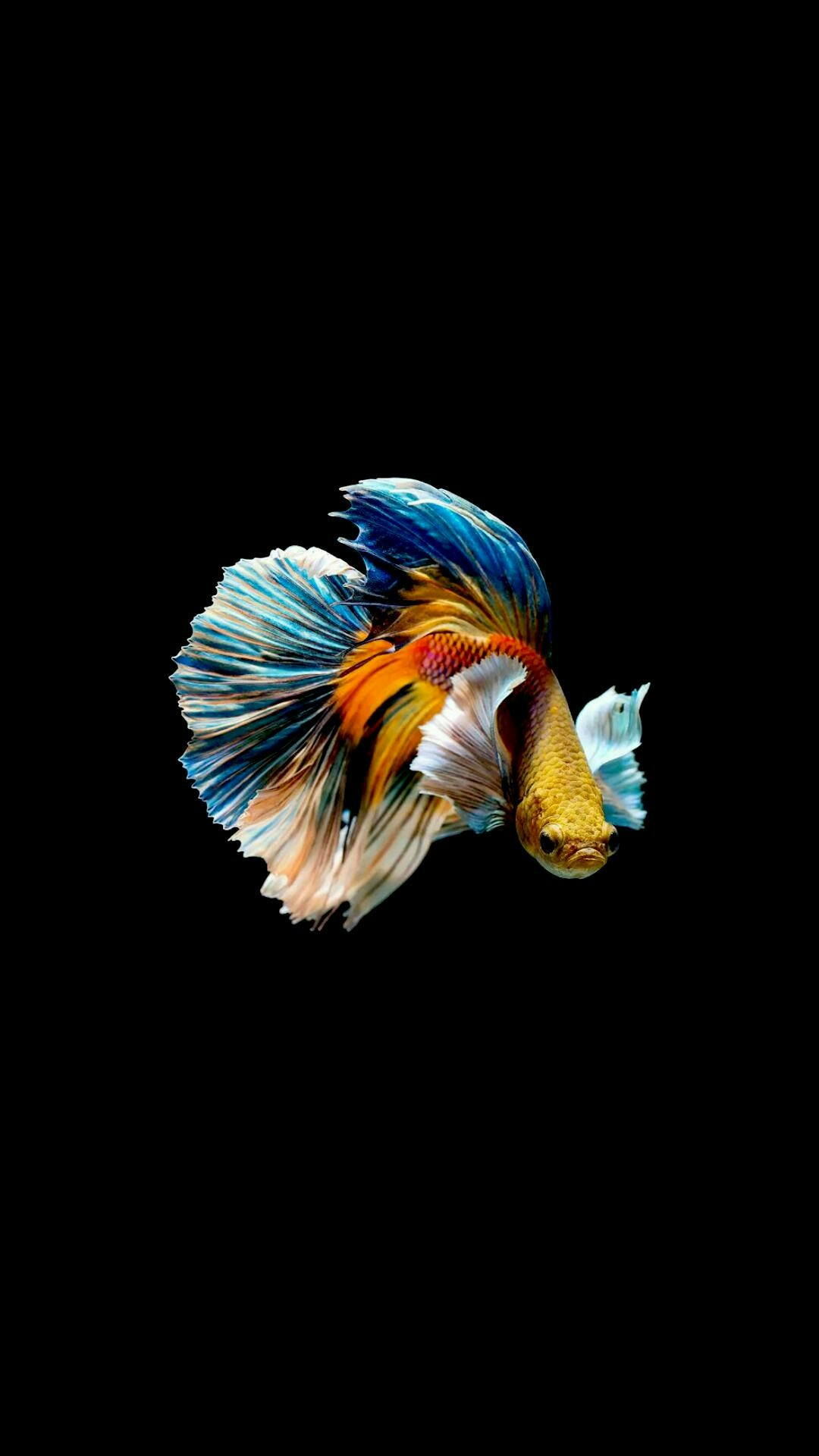Unsplash profile picture for @improvised