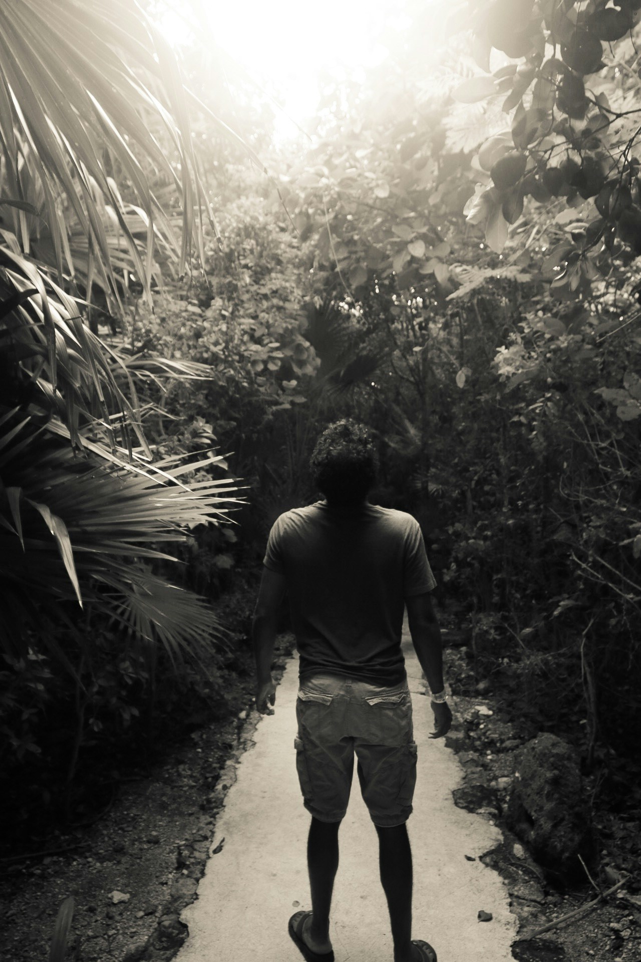 Go to Matthew Ronder-Seid's profile