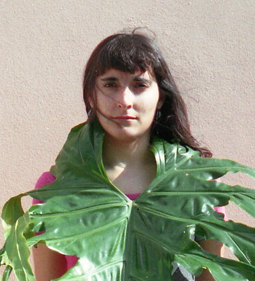 Go to Maria Carlos Cardeiro's profile