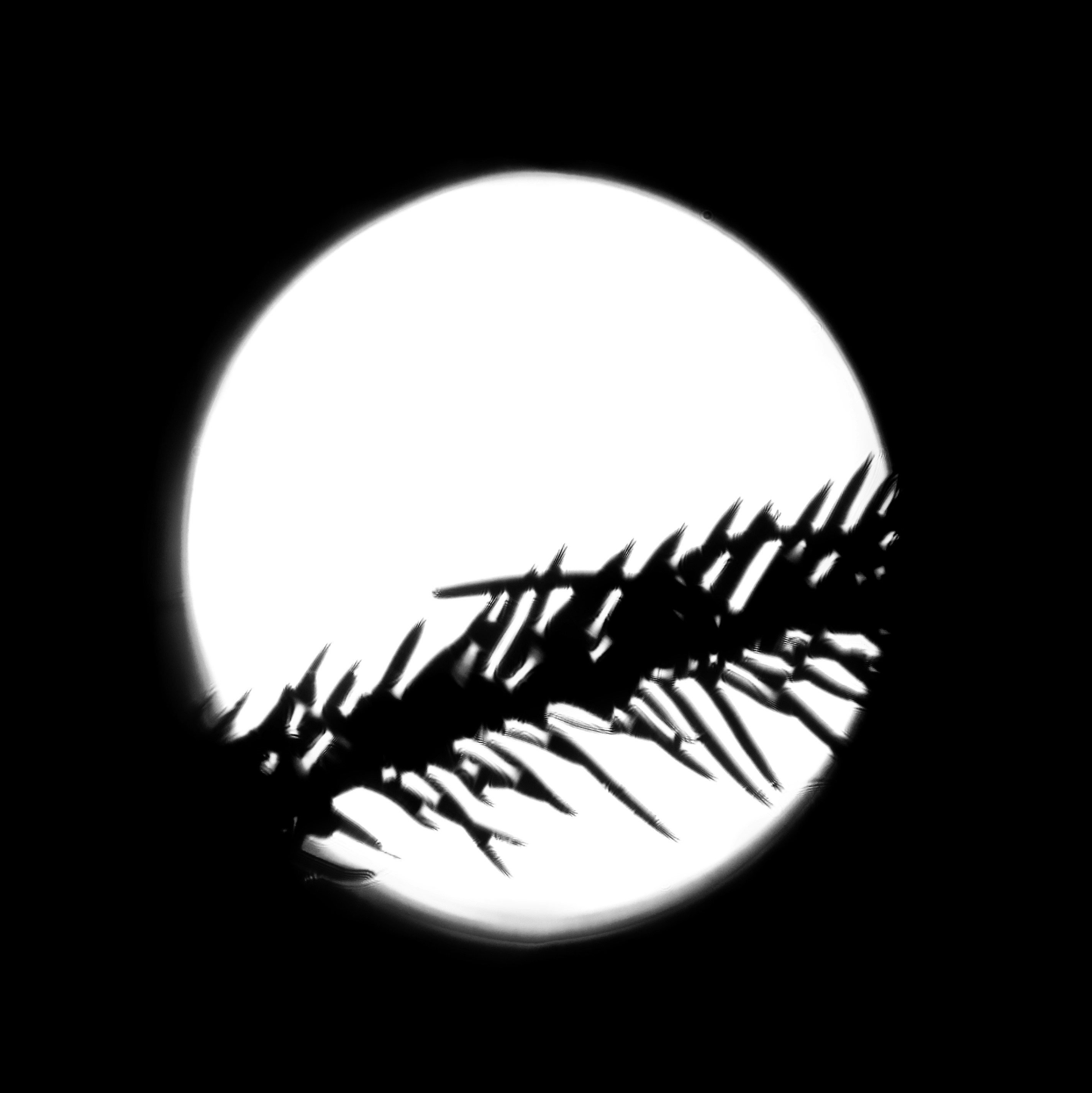 Go to Jonah Pettrich's profile