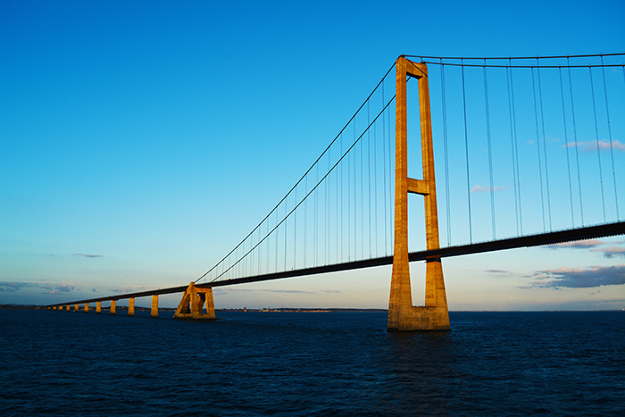 Go to Anthony Rao's profile