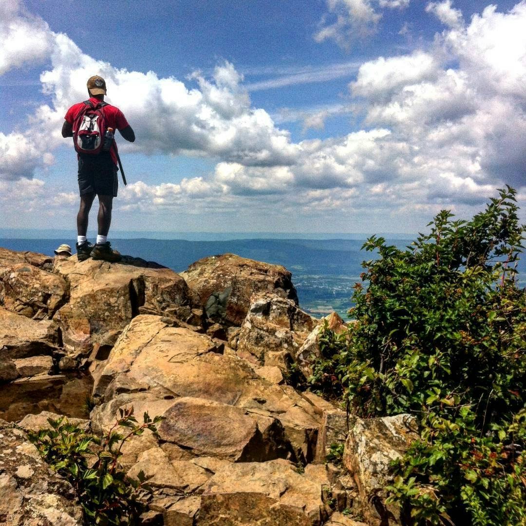 Go to Osman Mansaray's profile