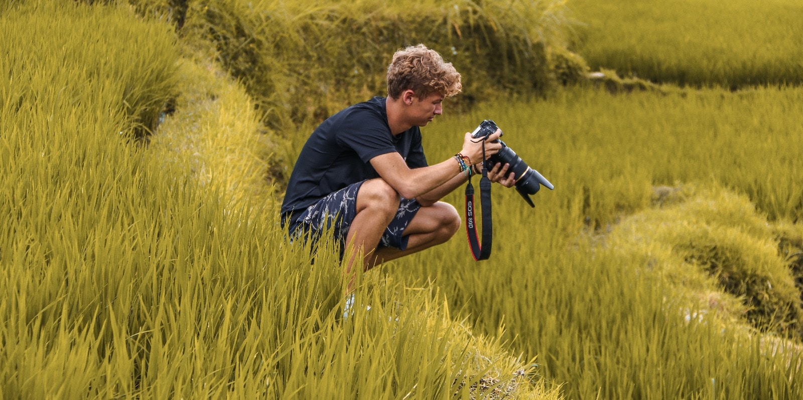 Go to Max Felner's profile