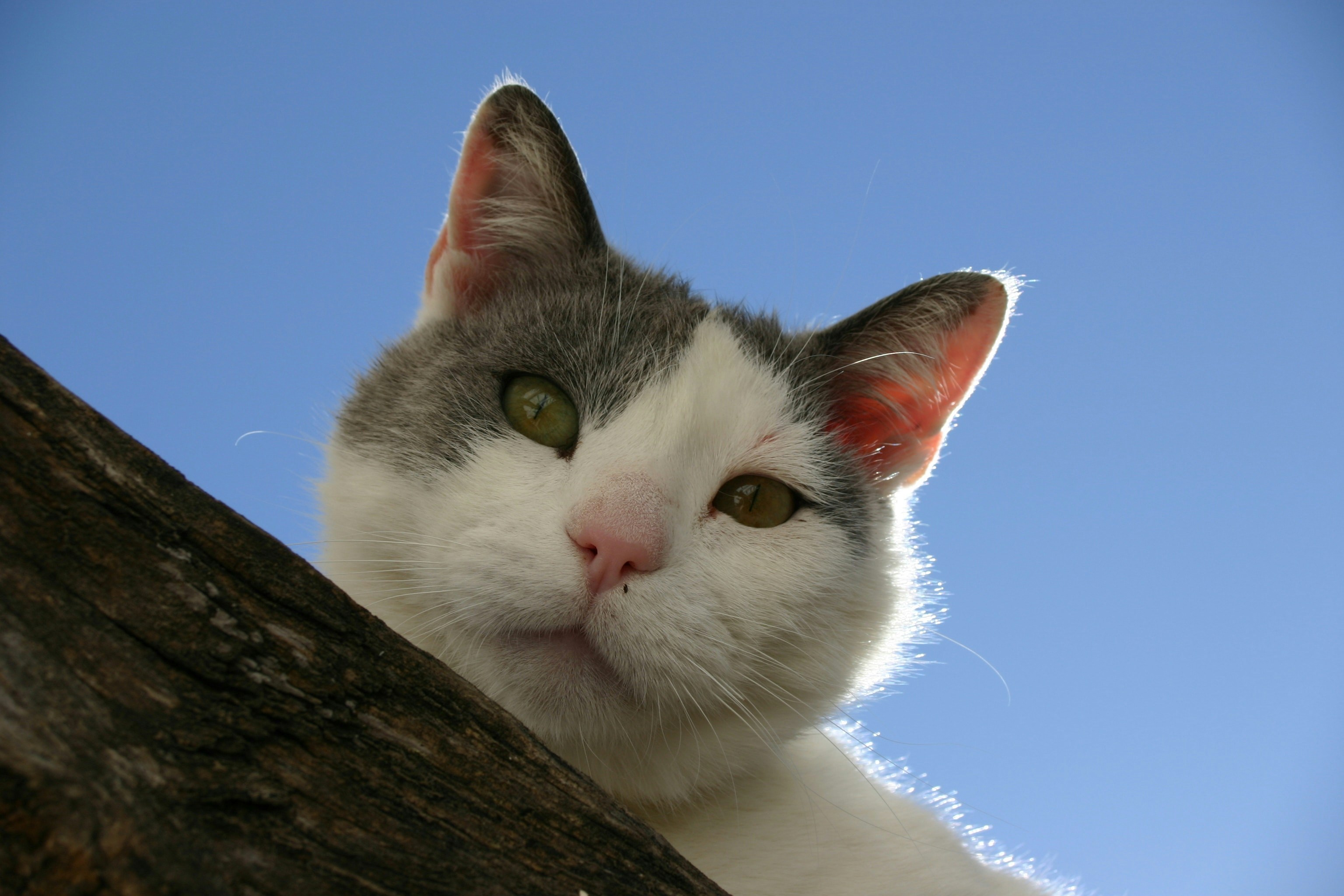 Go to Dave Clubb's profile