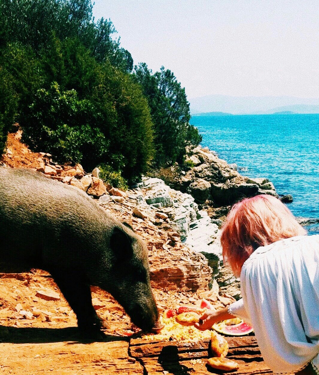 Go to Selin  Şahin's profile