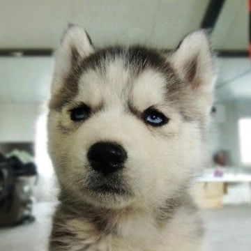 Go to Kinsey Wang's profile