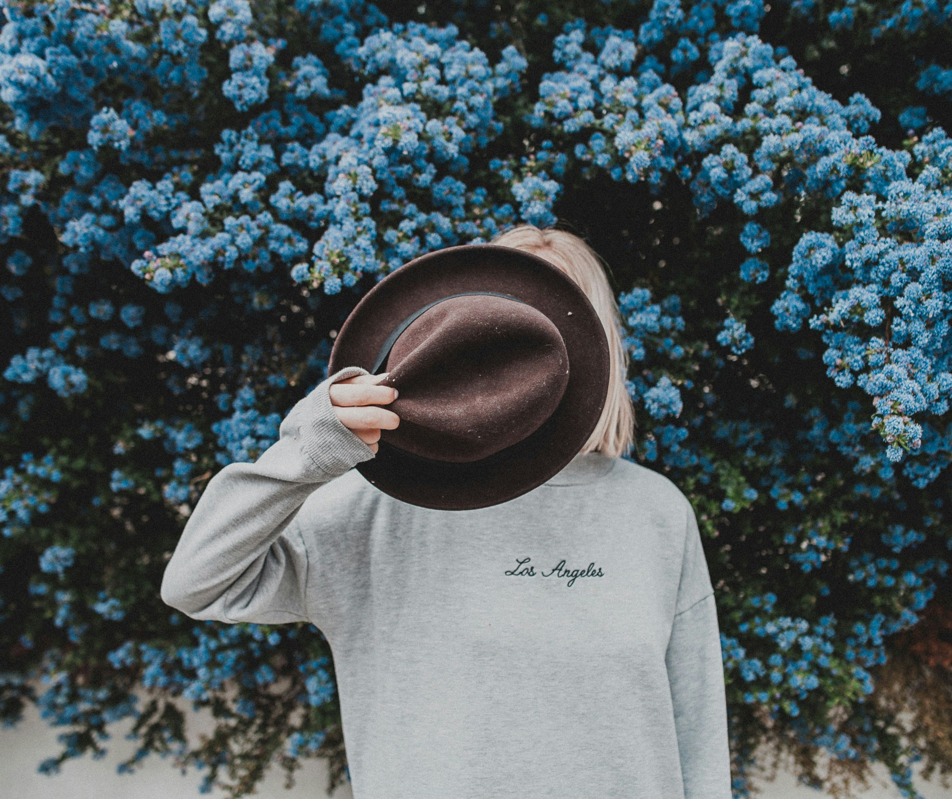 Go to Toa Heftiba's profile