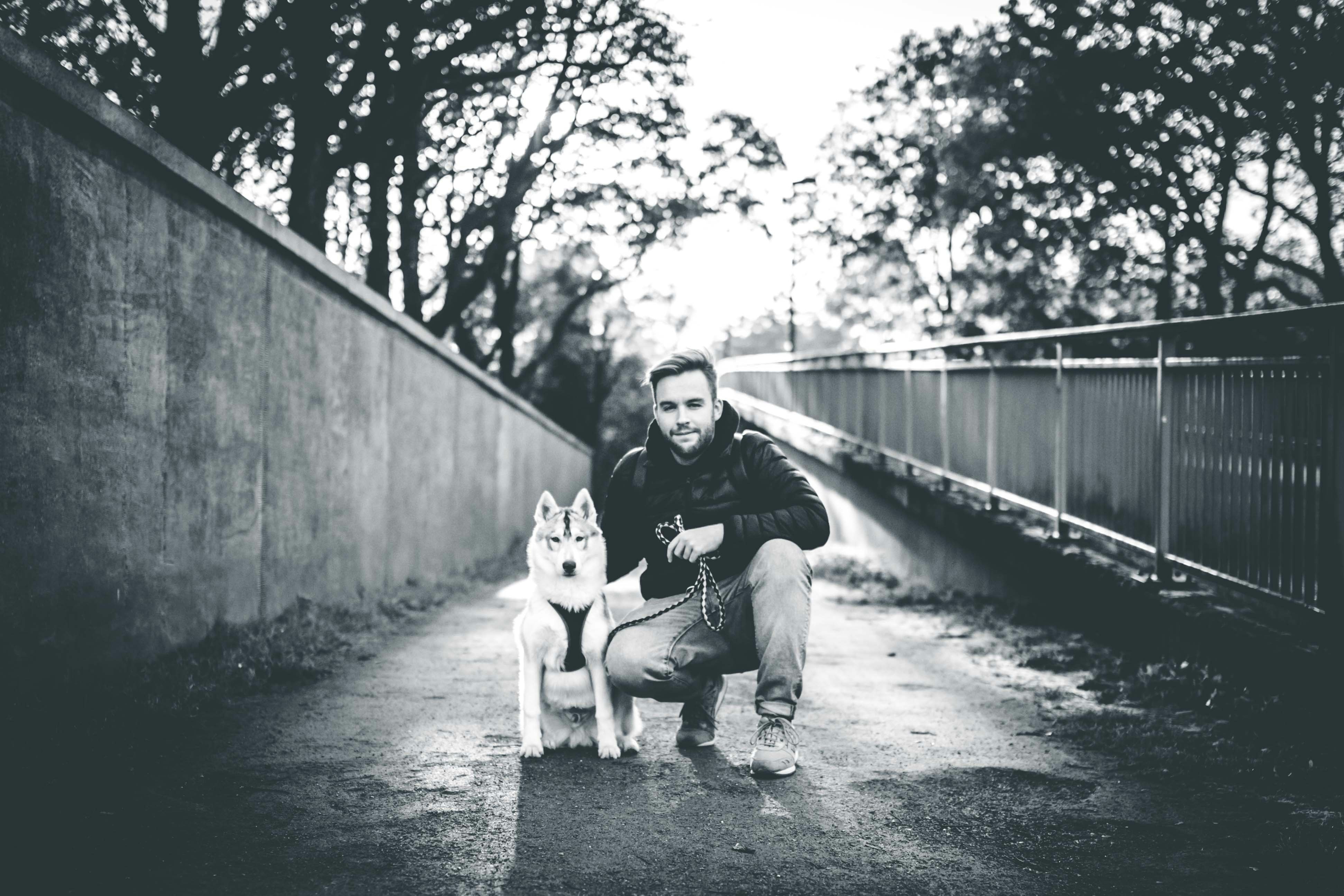 Go to Paul Trienekens's profile