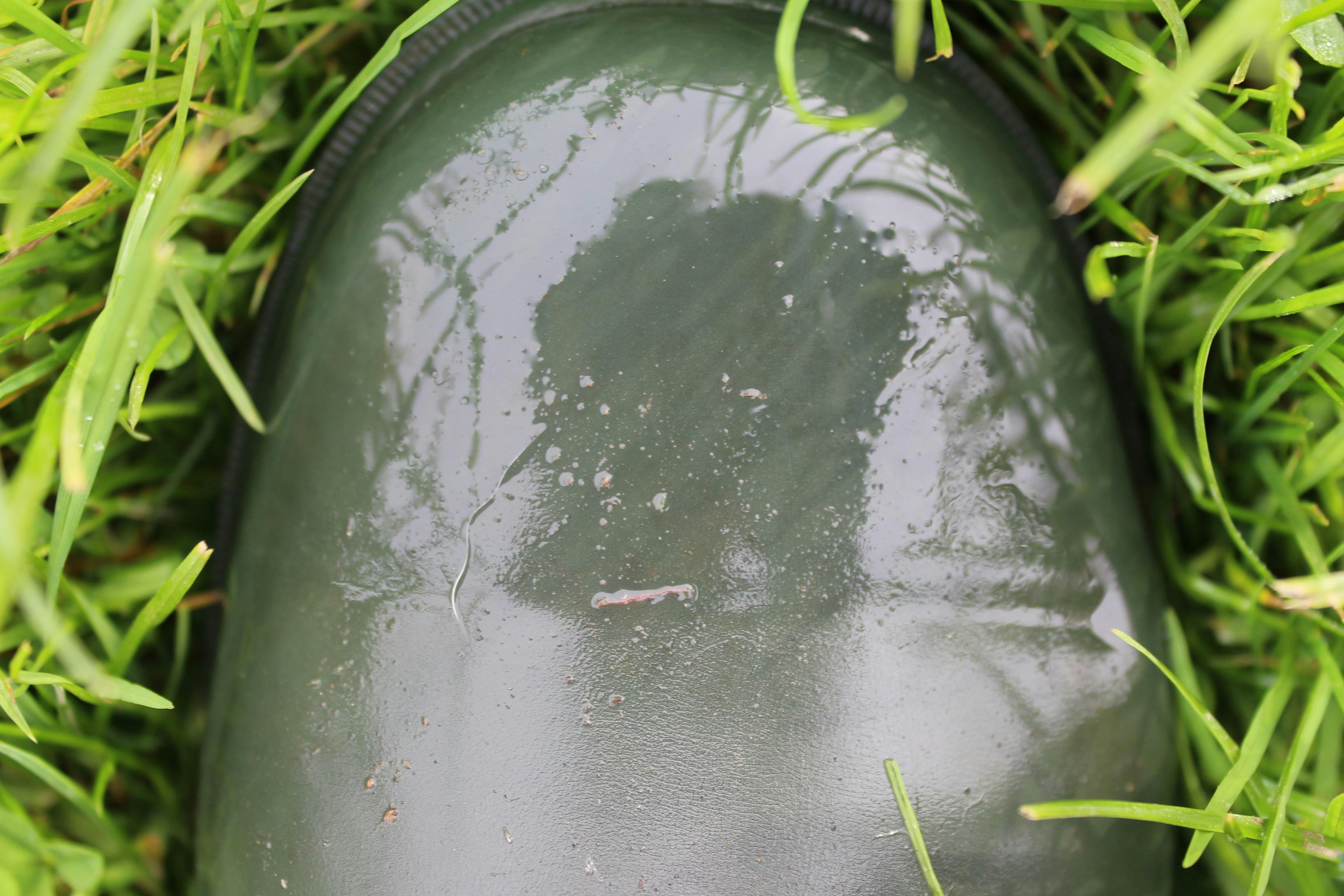 Go to Lorene Farrugia's profile