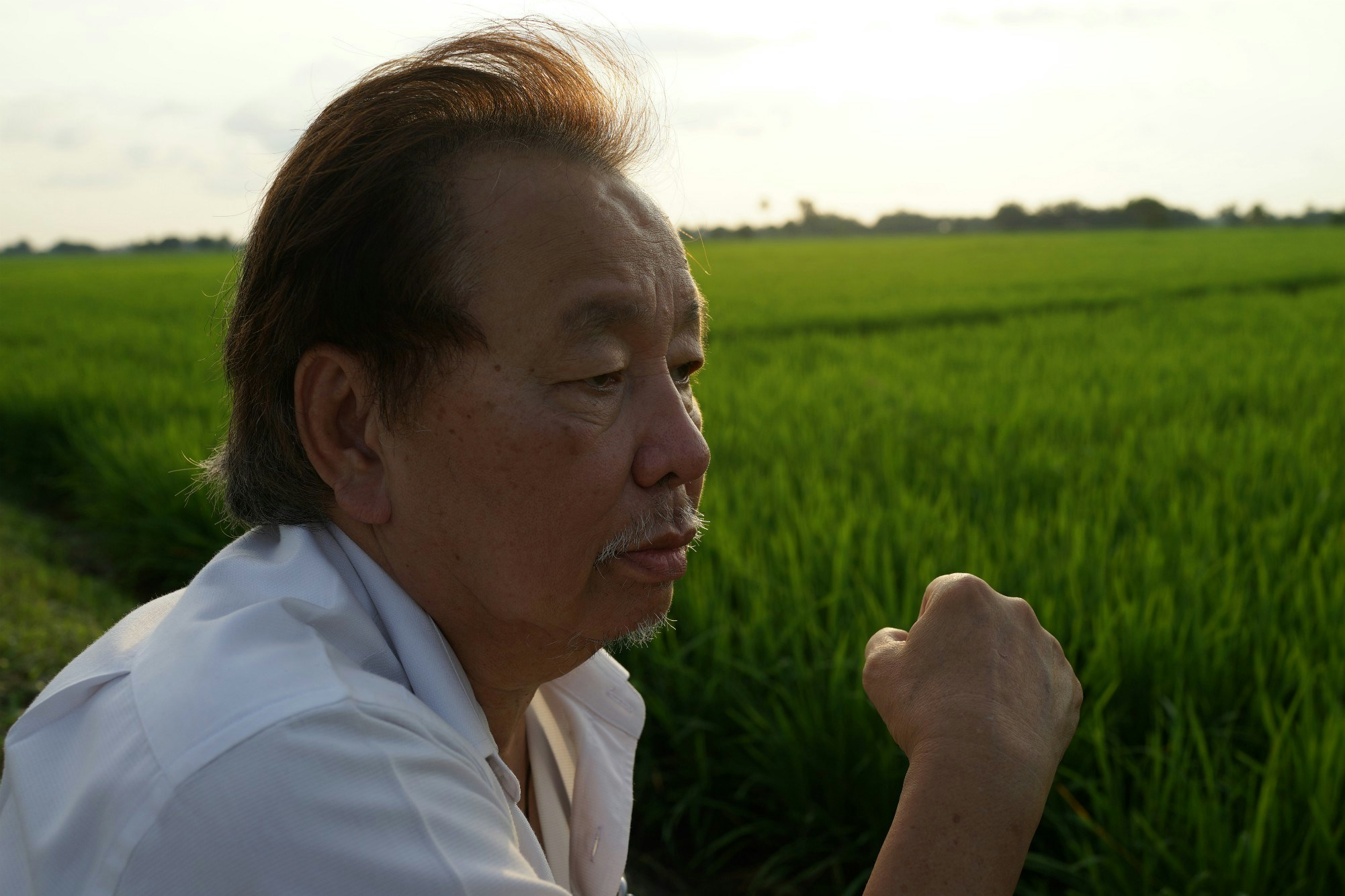 Avatar of user Spencer Wing