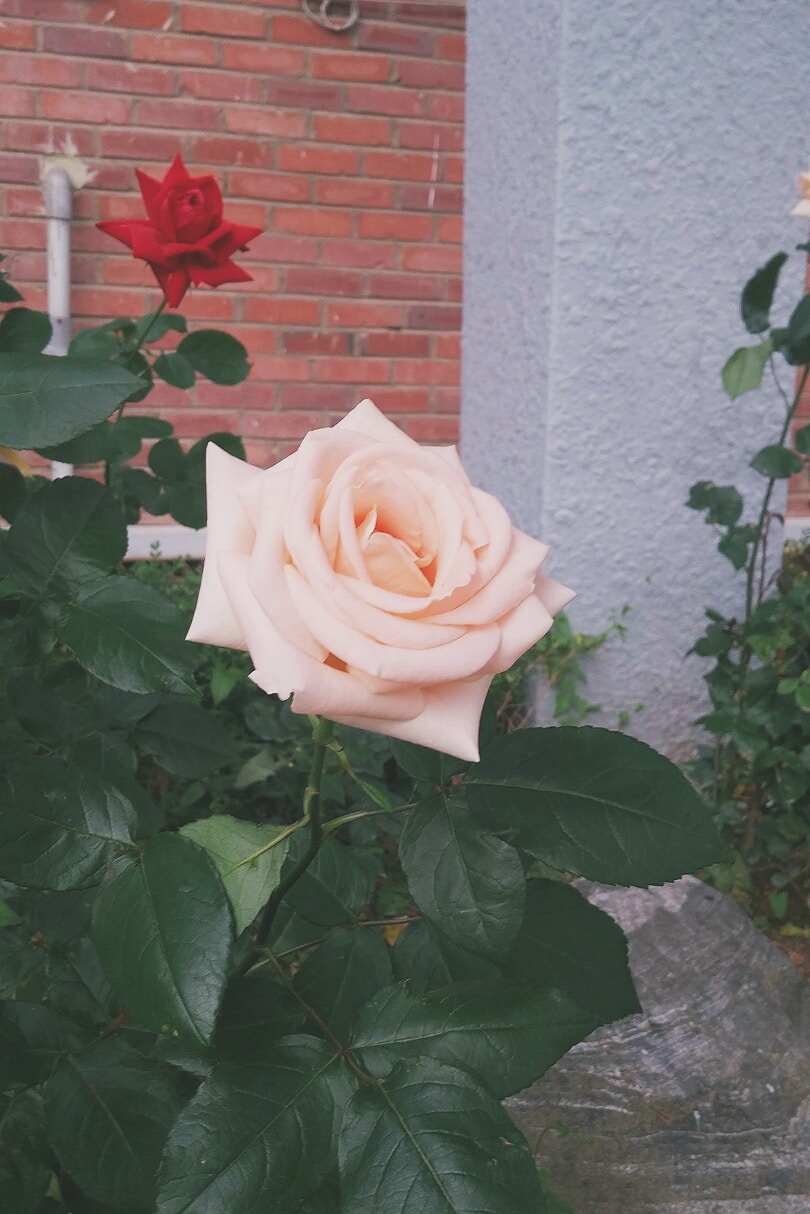 Go to Sarah Lee's profile