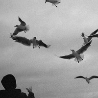 Accéder au profil de Astra Liu