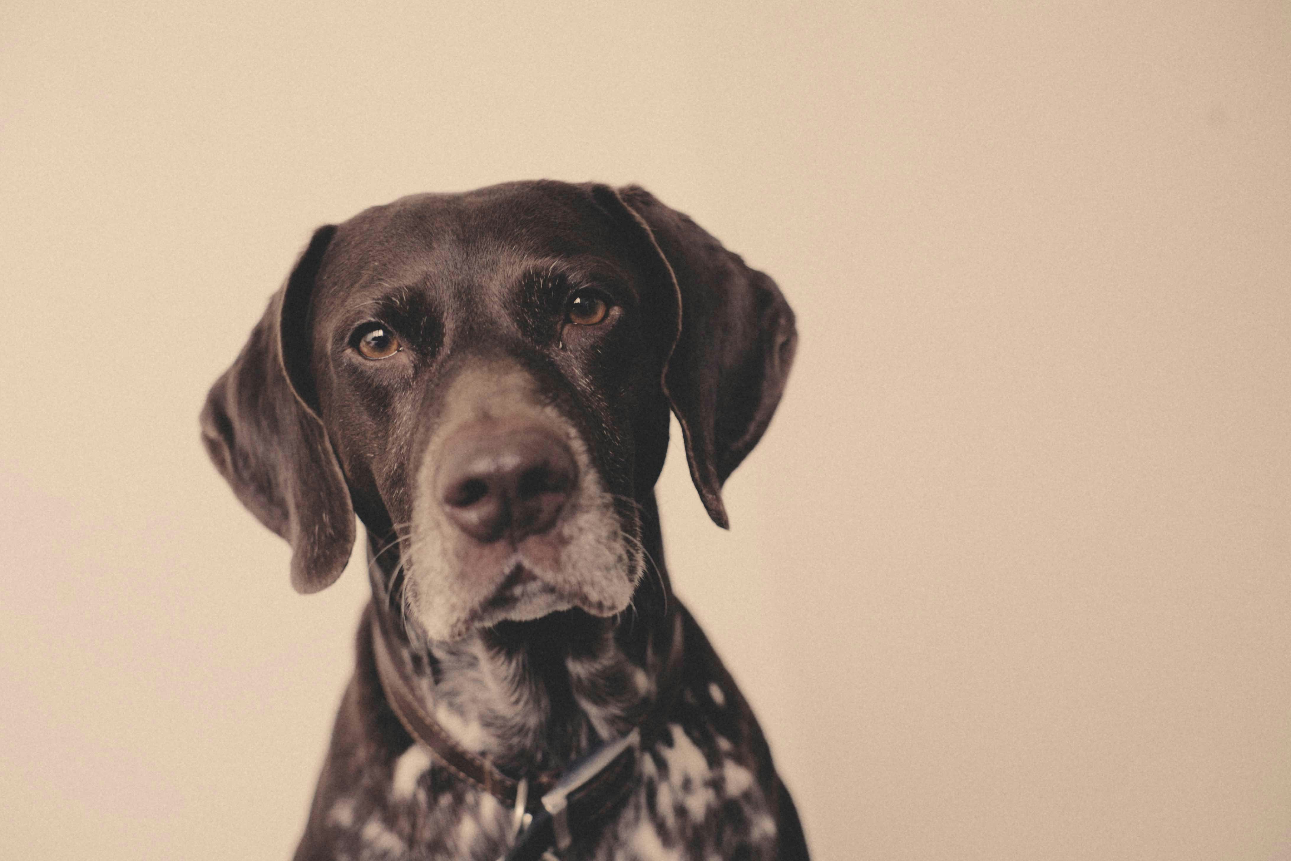 Go to Kev Costello's profile