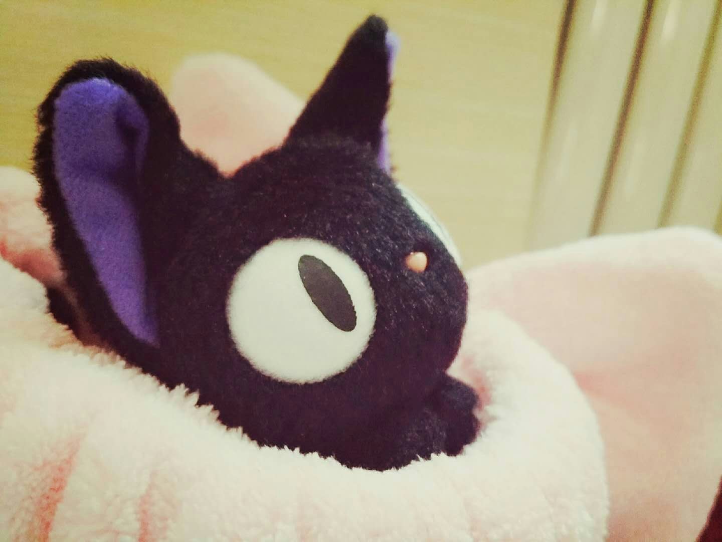 Zum Profil von Rae Tian