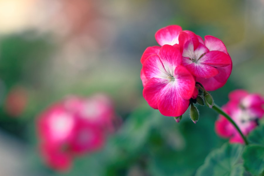 Ve al perfil de Hossein Anv