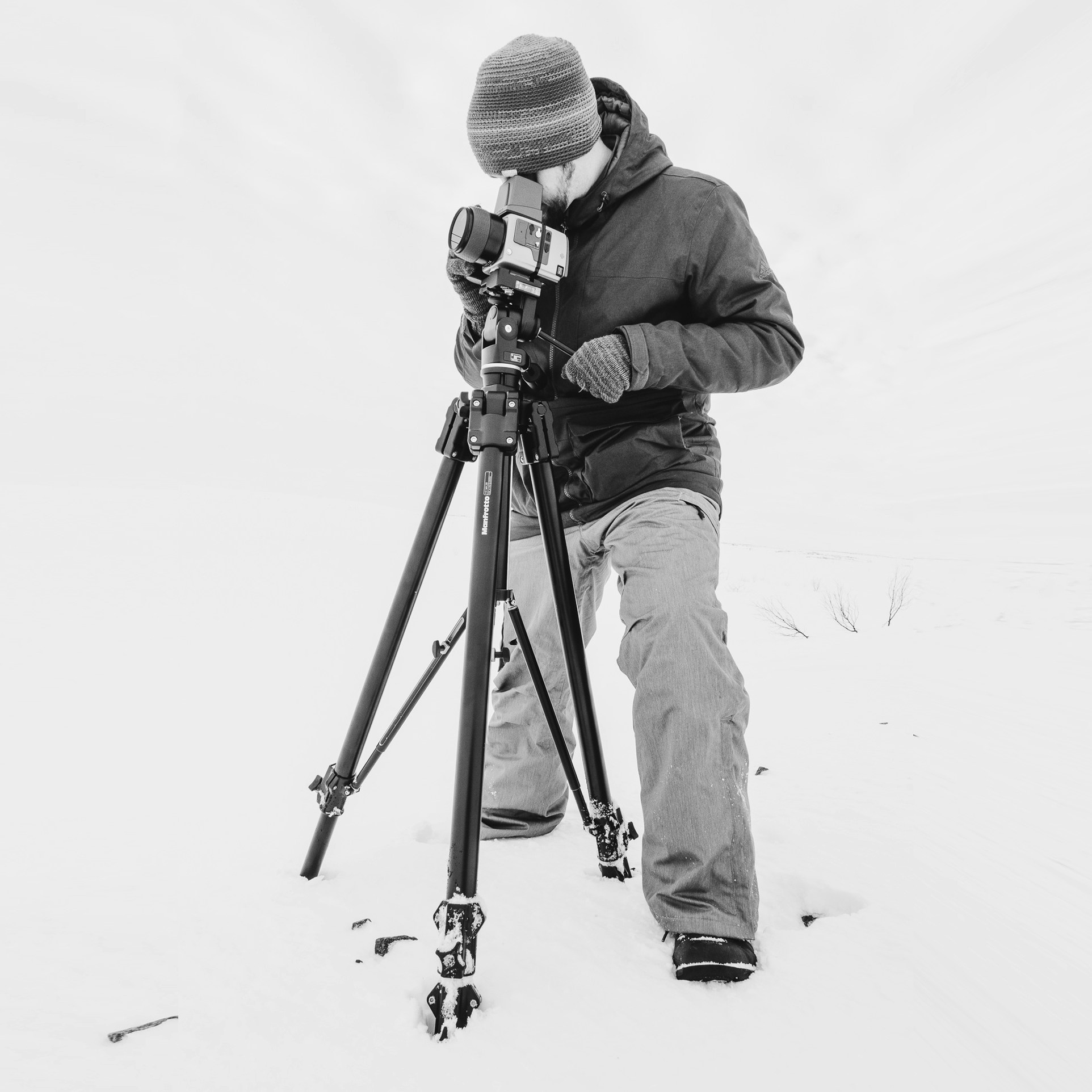 Go to Art Lasovsky's profile