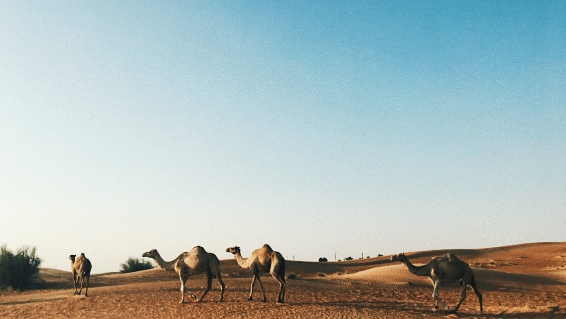 Juan Pablo Melo의 프로필로 이동