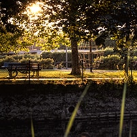 Vai al profilo di Loïc Fürhoff