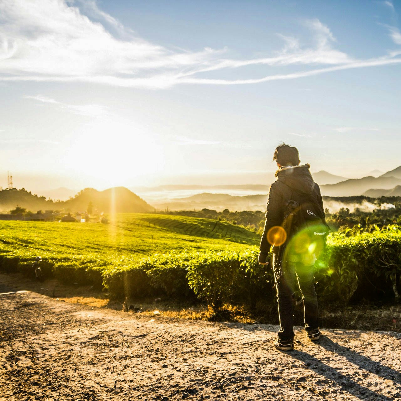 Go to KIMO's profile