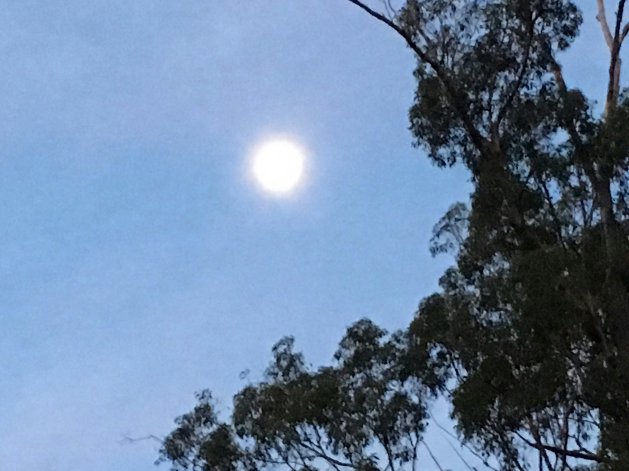 Go to Jeff Muir's profile