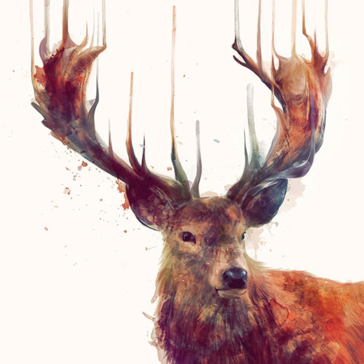 Unsplash profile picture for @wine