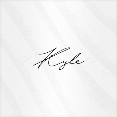 Ve al perfil de Kyle DeSantis