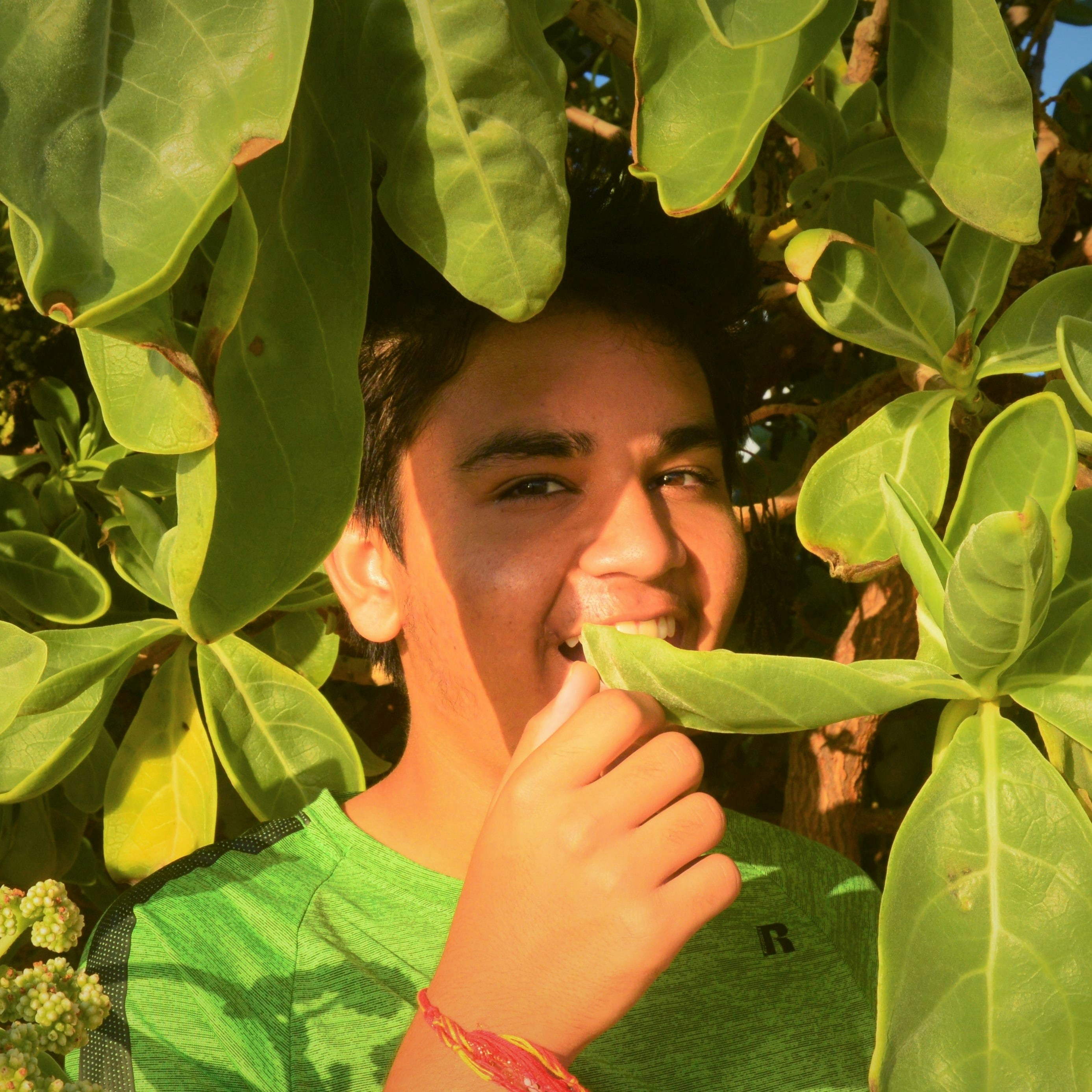 Go to Shrey Gupta's profile