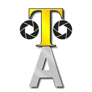 Go to Teo Lê's profile
