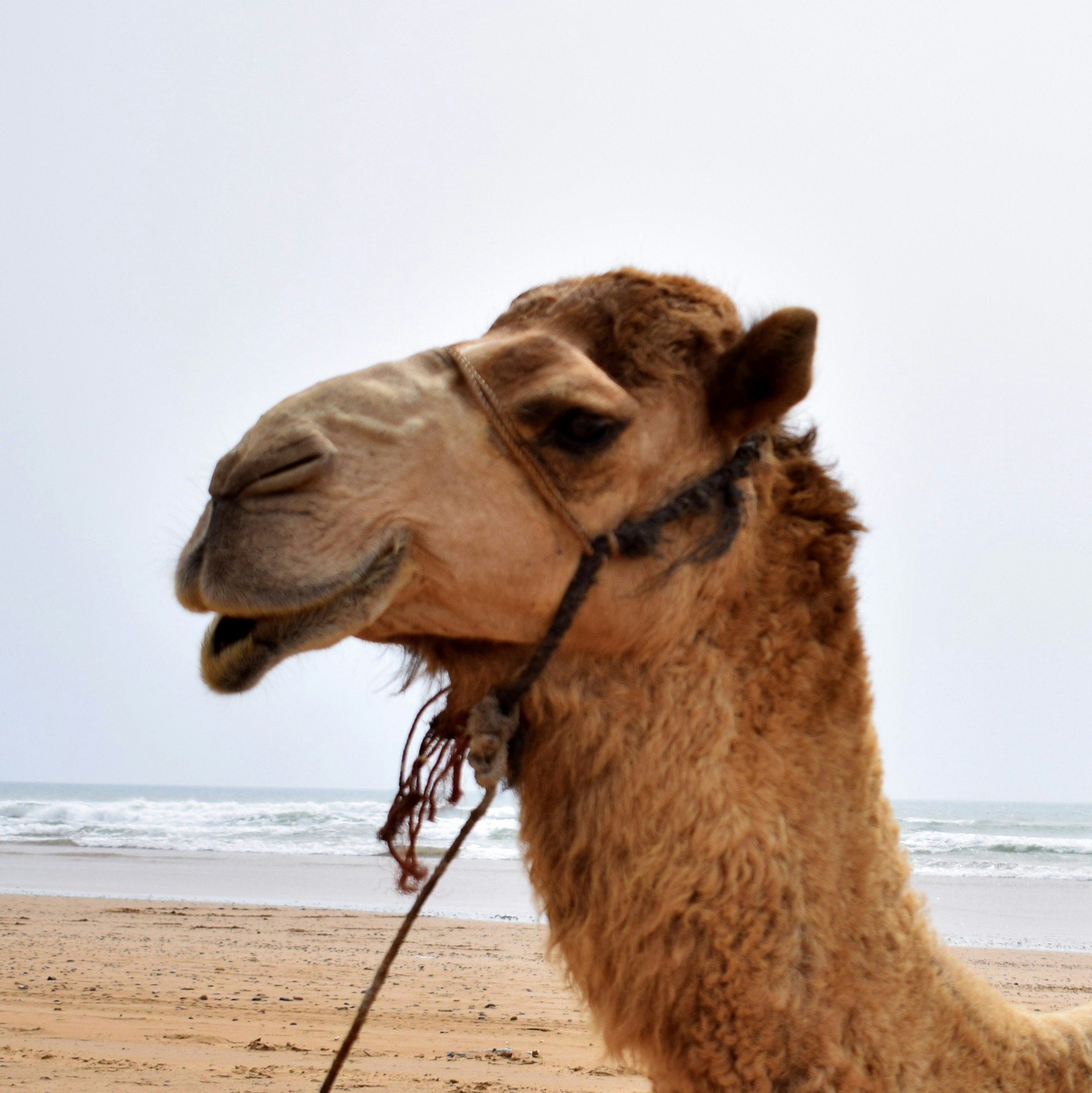 Avatar of user Magda B