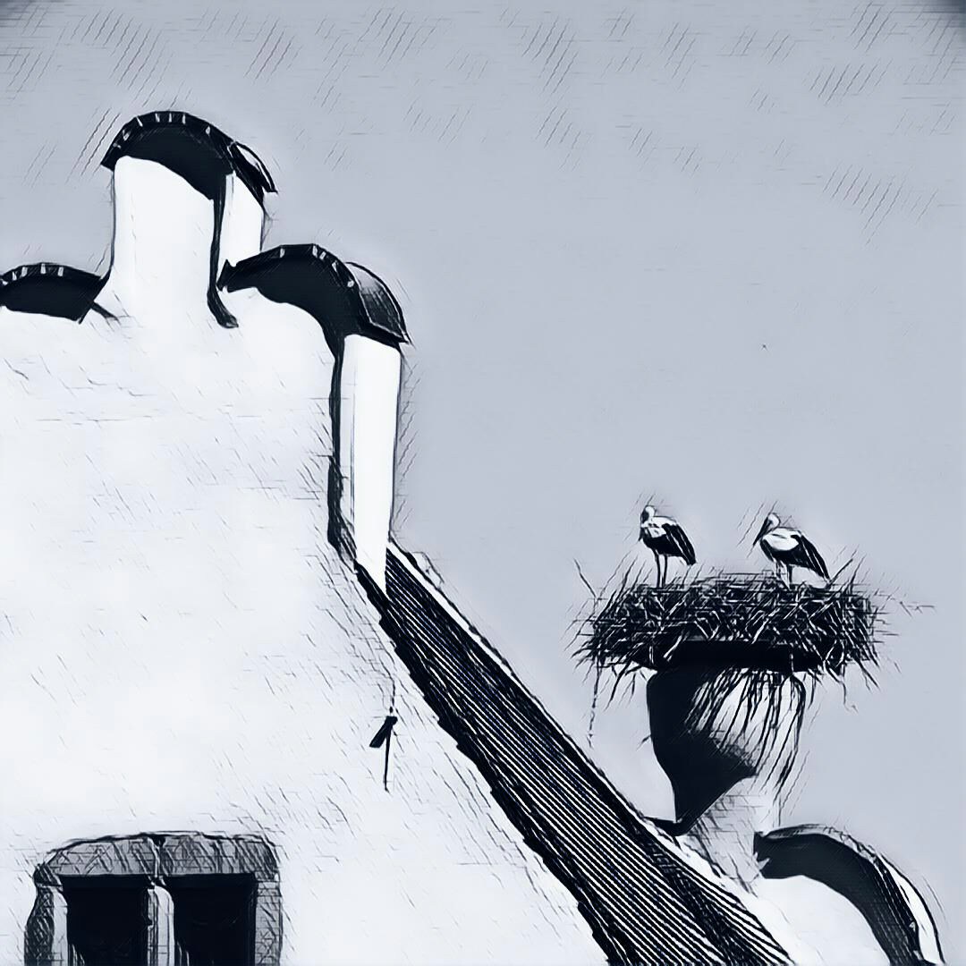 Zum Profil von Richard Payette