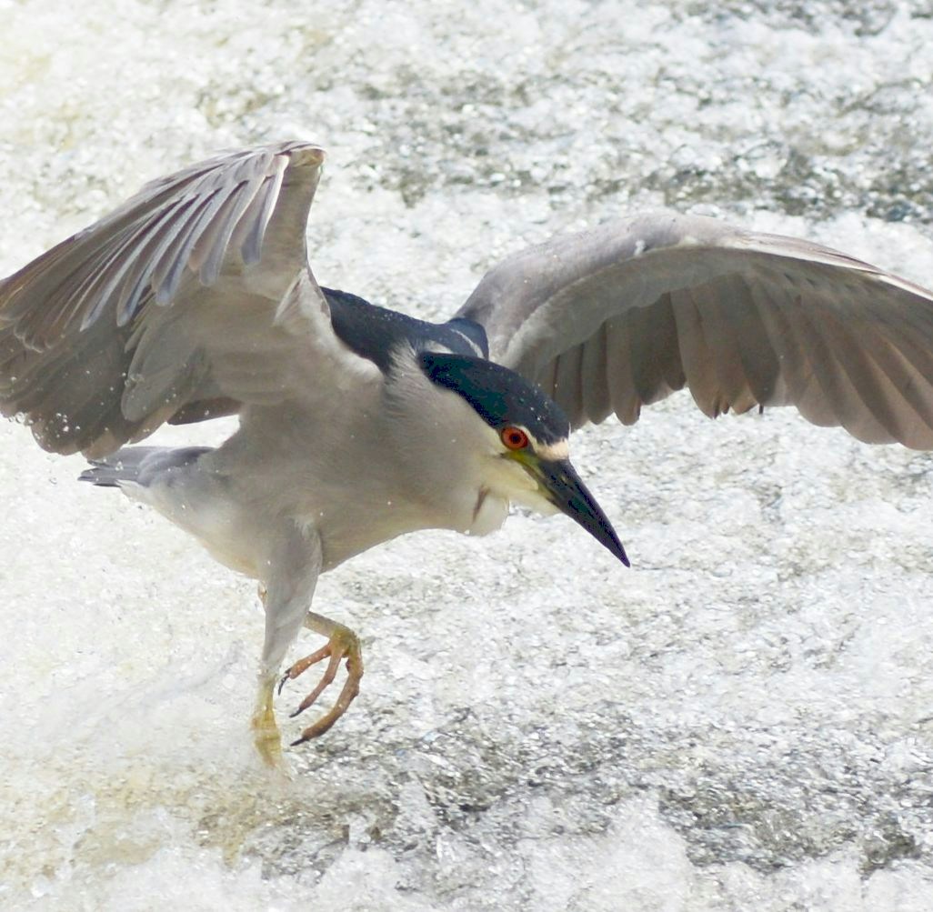 Go to Ken Goulding's profile