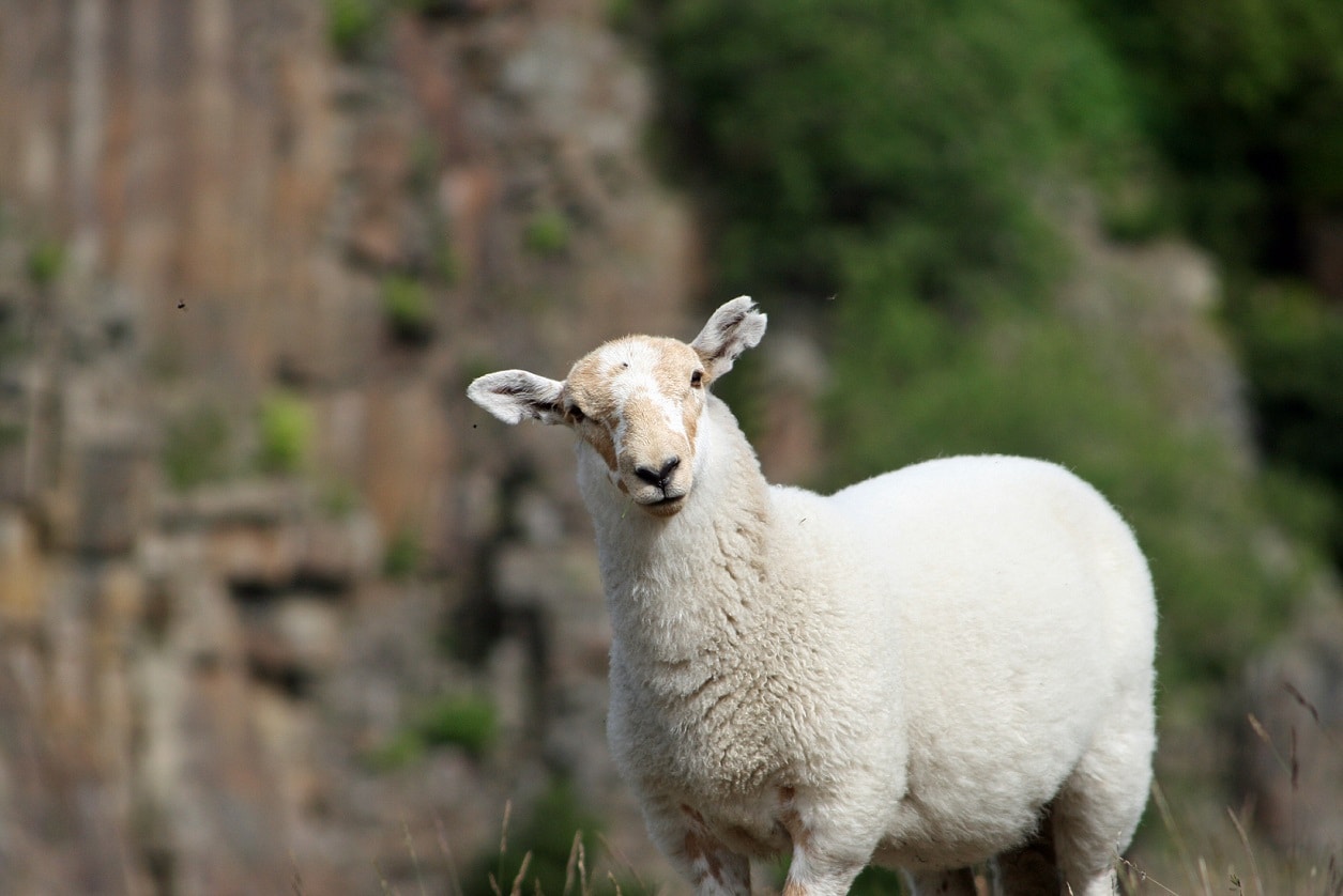 Go to Sean Alabaster's profile