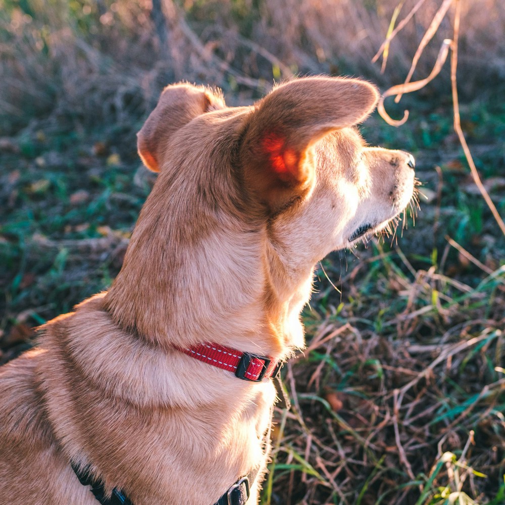 Ve al perfil de Elvir K