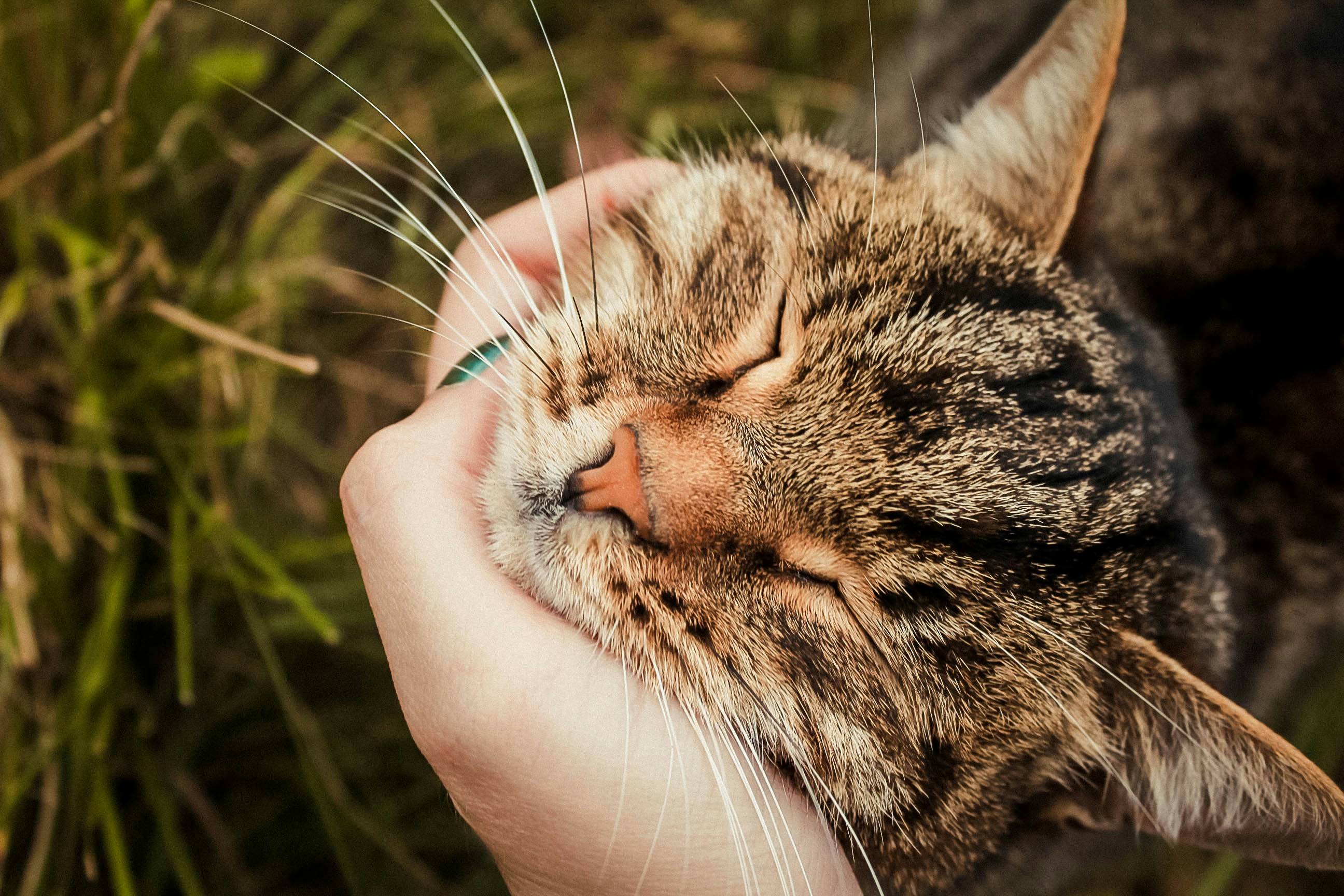 Go to Anna Samoylova's profile