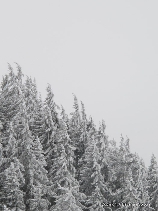 Zum Profil von Emma Raphael