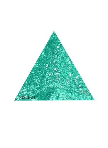 Go to NISCHAL MALLA's profile