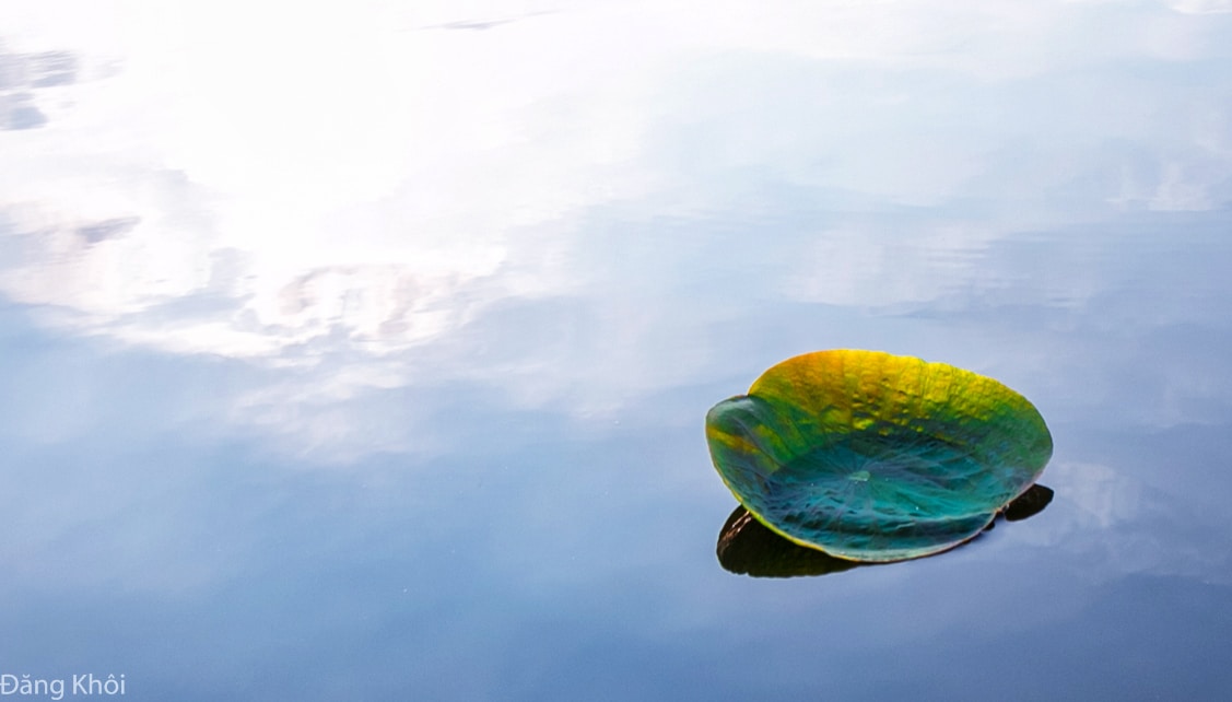 Go to vu khoi's profile