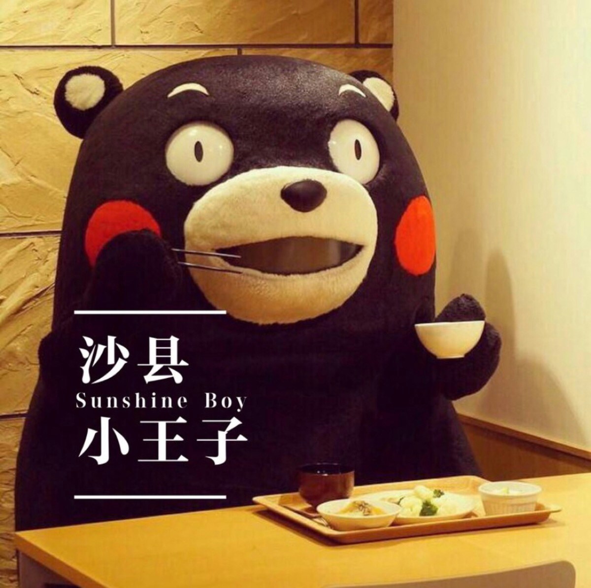 Unsplash profile picture for @dumplings