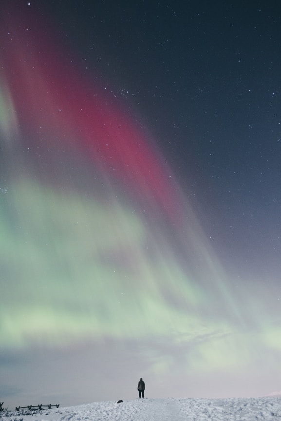 Avatar of user manny PANTOJA