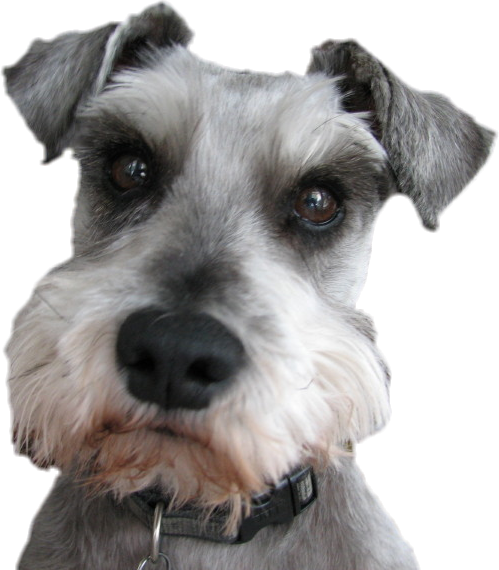 Go to 4cpus 4me's profile