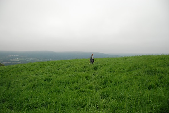 Go to Lava Lavanda's profile