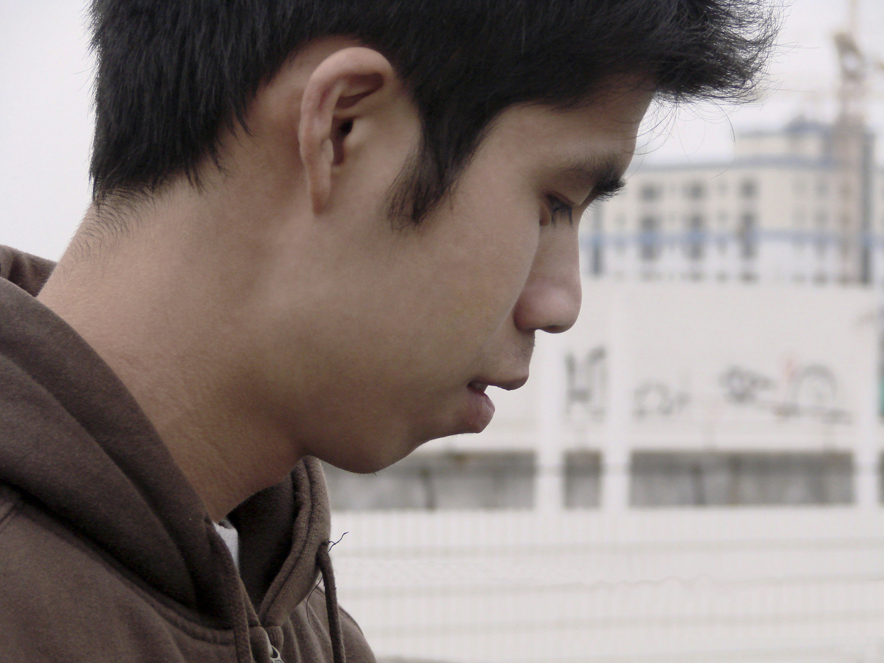 Ve al perfil de 蓝 浩