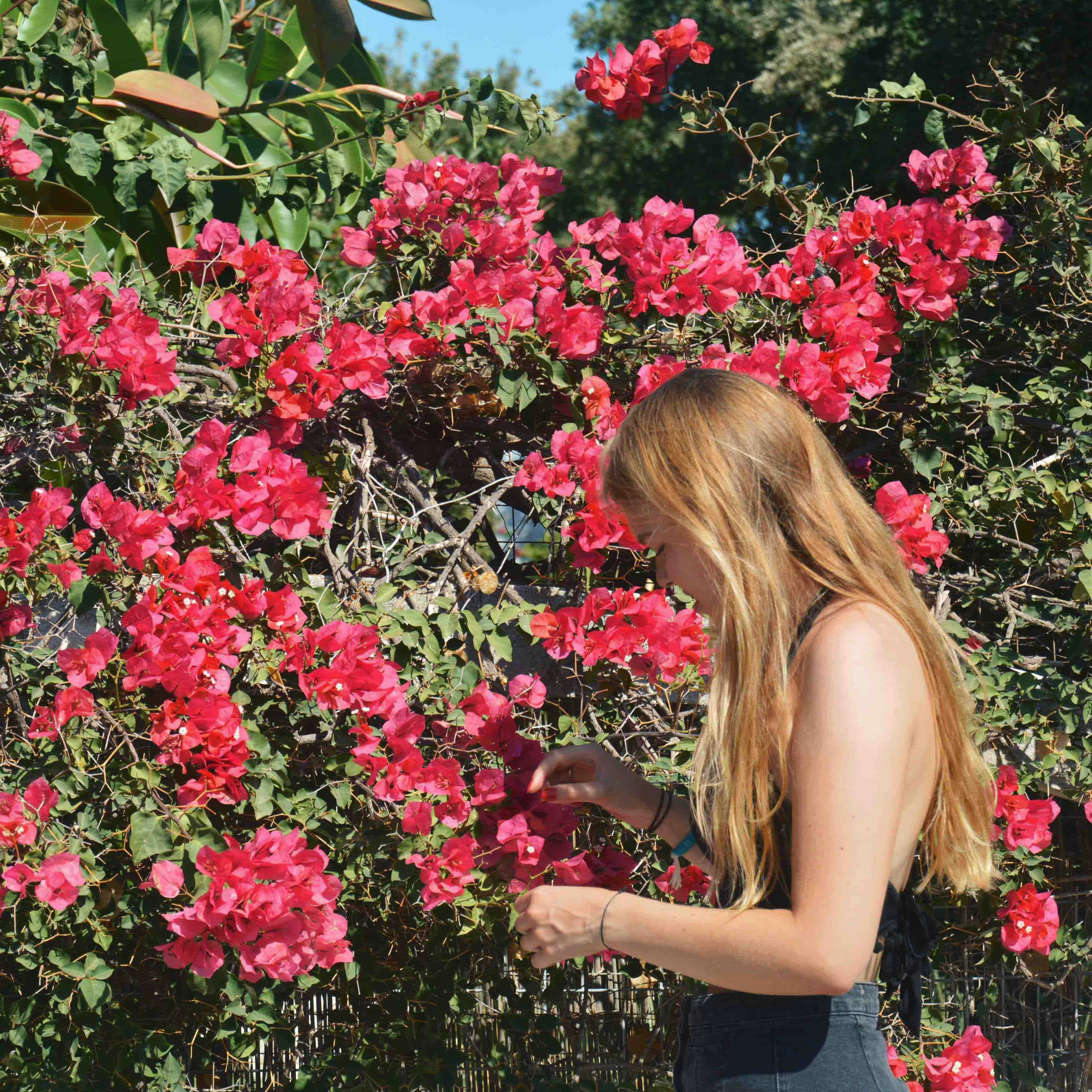 Avatar von Benutzer Cleo Vermij