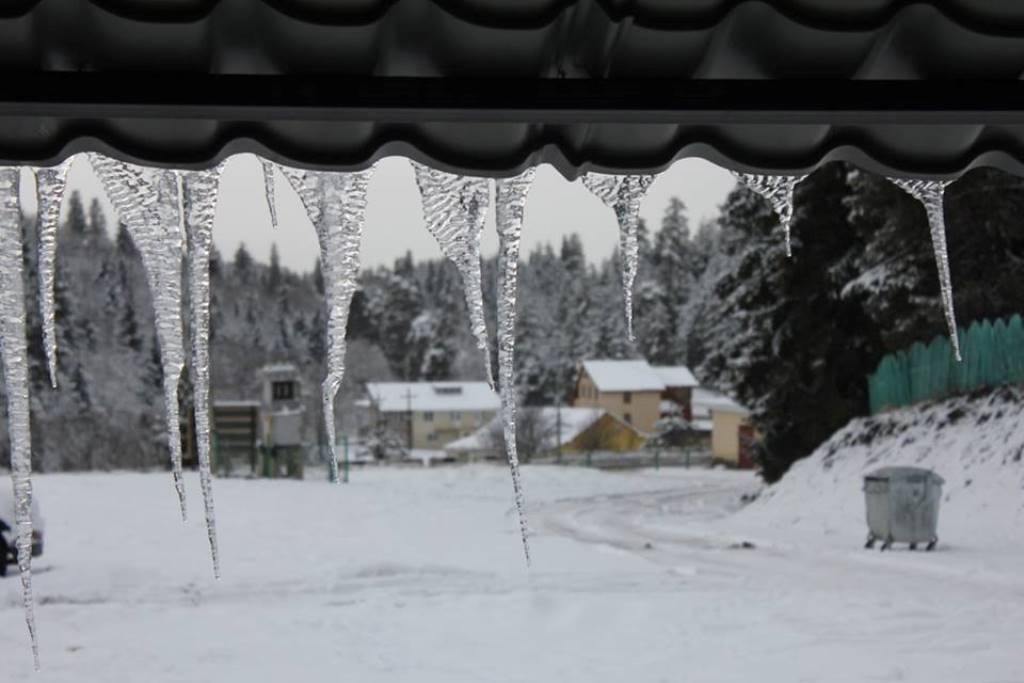 Go to Irakli Kvaratskhelia's profile